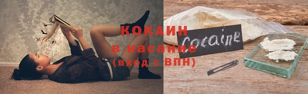 гашик Аркадак