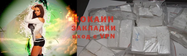гашик Аркадак