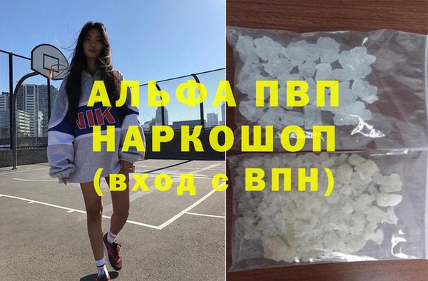 гашик Аркадак