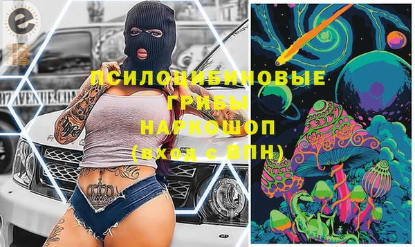 гашик Аркадак