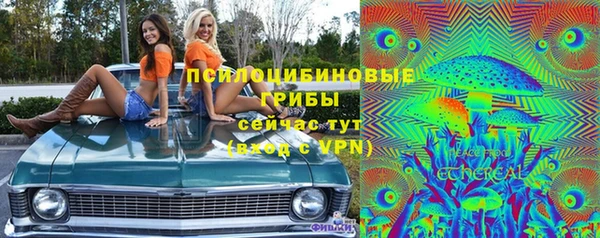 гашик Аркадак